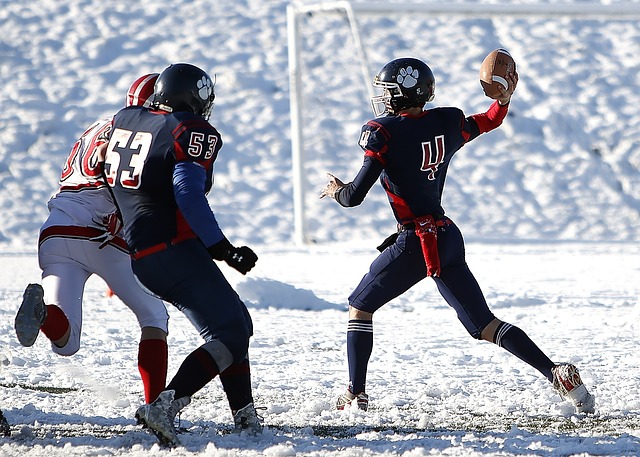 PG电子-PG电子官方网站-新疆站 - PG电子西藏站