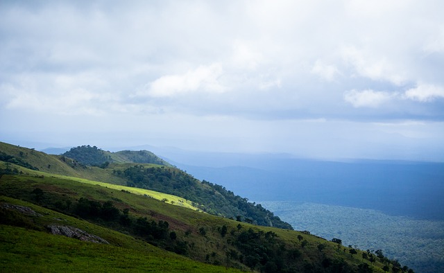 他们的战术 他们的战术