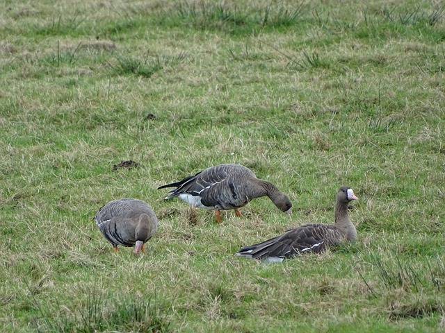 類似場景中 類似場景中