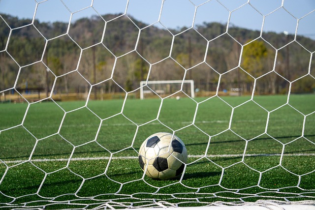 流行小陣容 流行小陣容