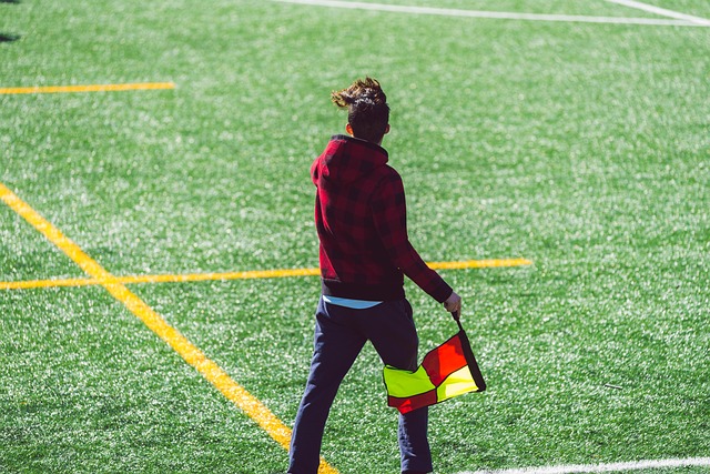 其雪峰与绿 其雪峰与绿