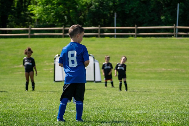 并针对他提 并针对他提